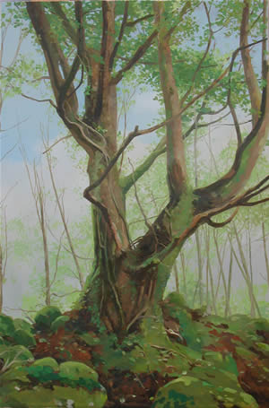 Mossed Tree
